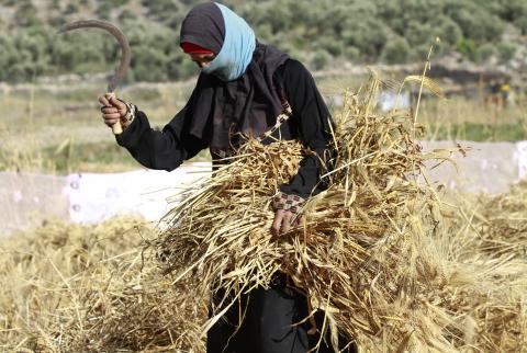في يوم المرأة-الأسر التي ترأسها نساء في فلسطين أكثر فقراً