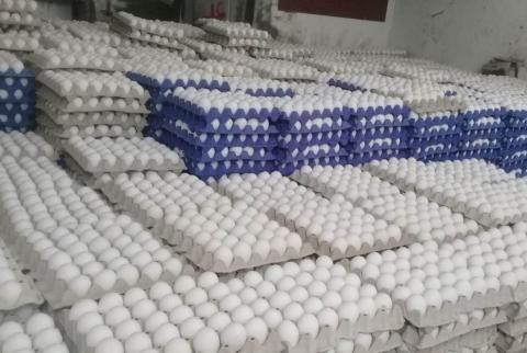 اعتقال شخص حاول تهريب 6 آلاف طبق بيض إلى مستوطنة